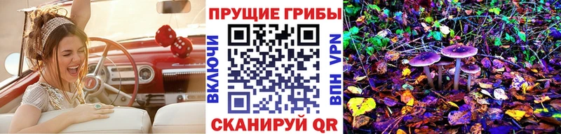 Псилоцибиновые грибы мицелий Абаза